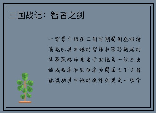 三国战记：智者之剑